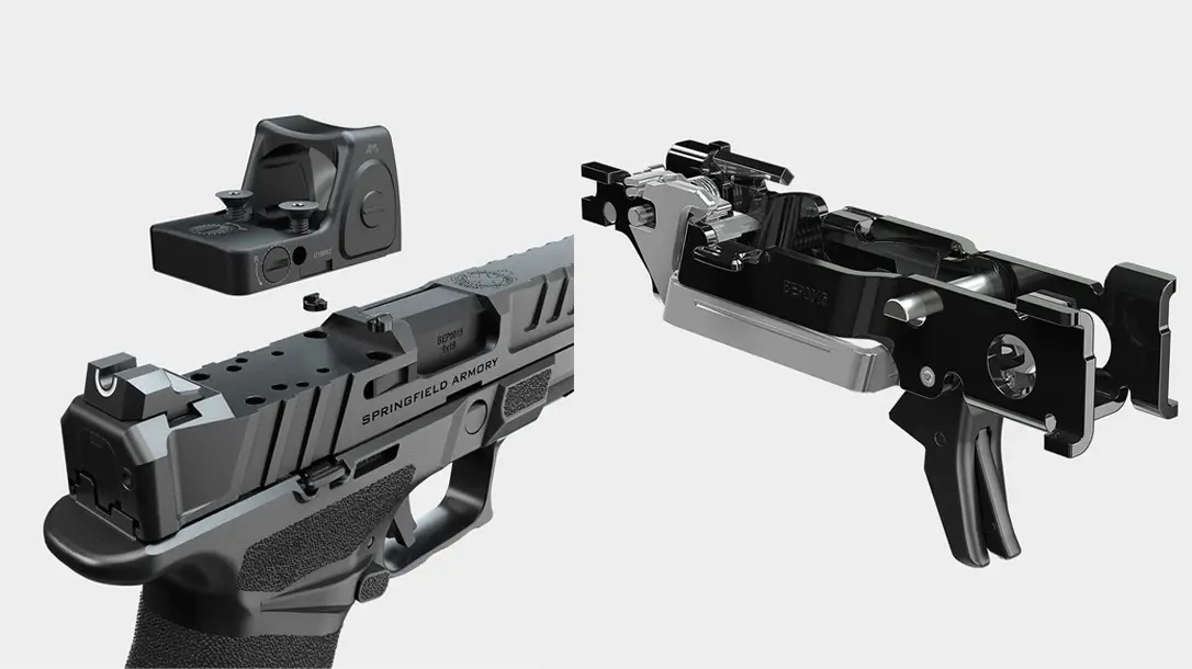 springfield echelon cog